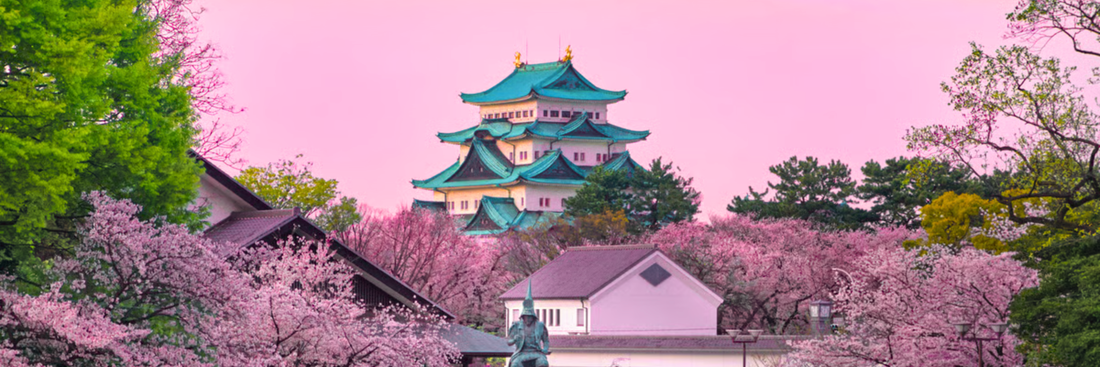 Beyond the Bucket List: Top 10 Vacation Ideas for 2026