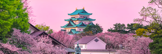 Beyond the Bucket List: Top 10 Vacation Ideas for 2026